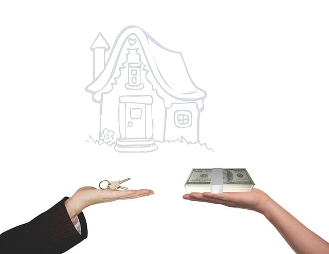 Best Home Automation Deals: Your Complete Buying Guide