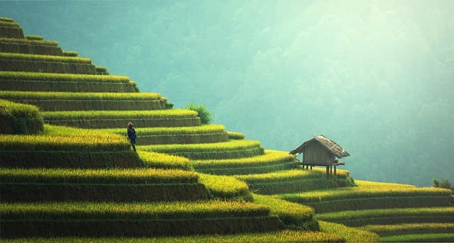 Sustainable Business Practices Guide