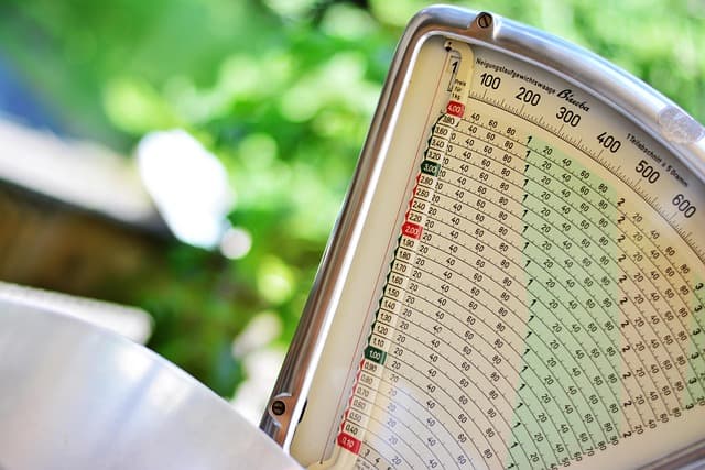 Best Digital Kitchen Scale: Your Ultimate Buying Guide