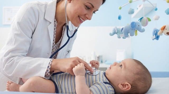 Essential Guide to Pet Wellness Checkups