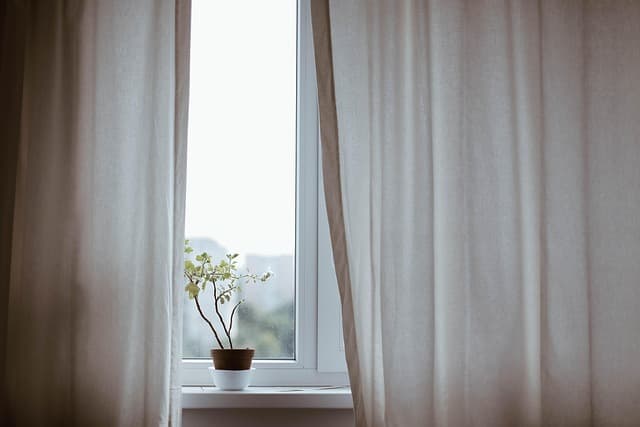 Guide d'achat : meilleur engrais pour plantes d'intérieur