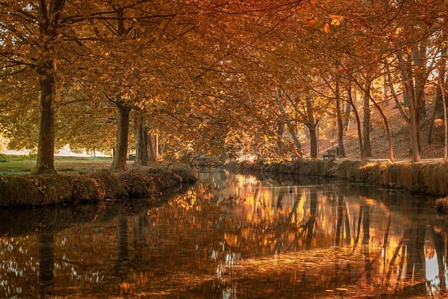 Consejos para Mejora en Juegos de Acción