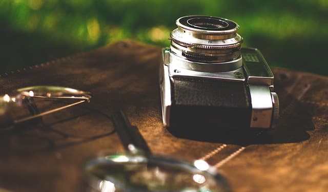 Best Pet Cameras for 2026: Complete Buying Guide