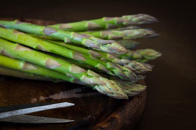 Sustainable Diet Tips: A Comprehensive Buying Guide