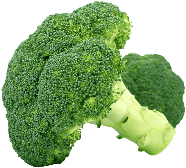Best Vegetable Chopper - Top Picks for Every User